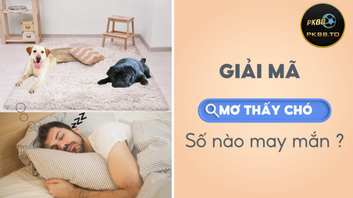 PK88 giải mã giấc mơ thấy chó và con số may mắn cho các cược thủ ?