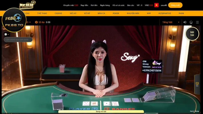 Hướng Dẫn Chi Tiết Cách Bắt Cầu Baccarat cho Người Mới